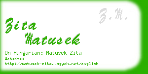 zita matusek business card